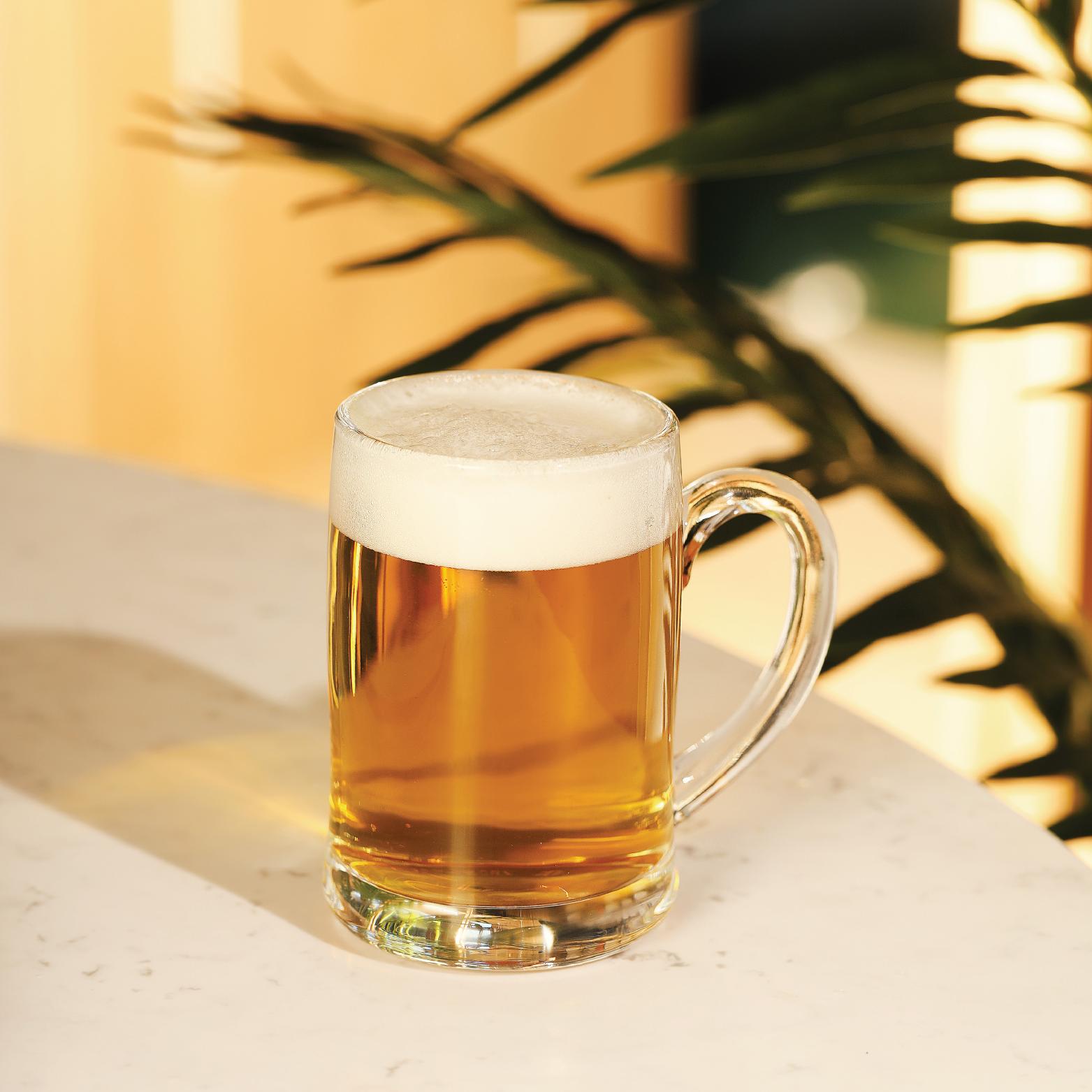 Fascino 370ml Beer Mug 2pcs Set 2 Pcs