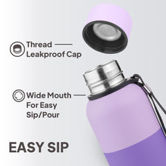Neo Kent Thermosteel Flask Lavender Purple / 520ml