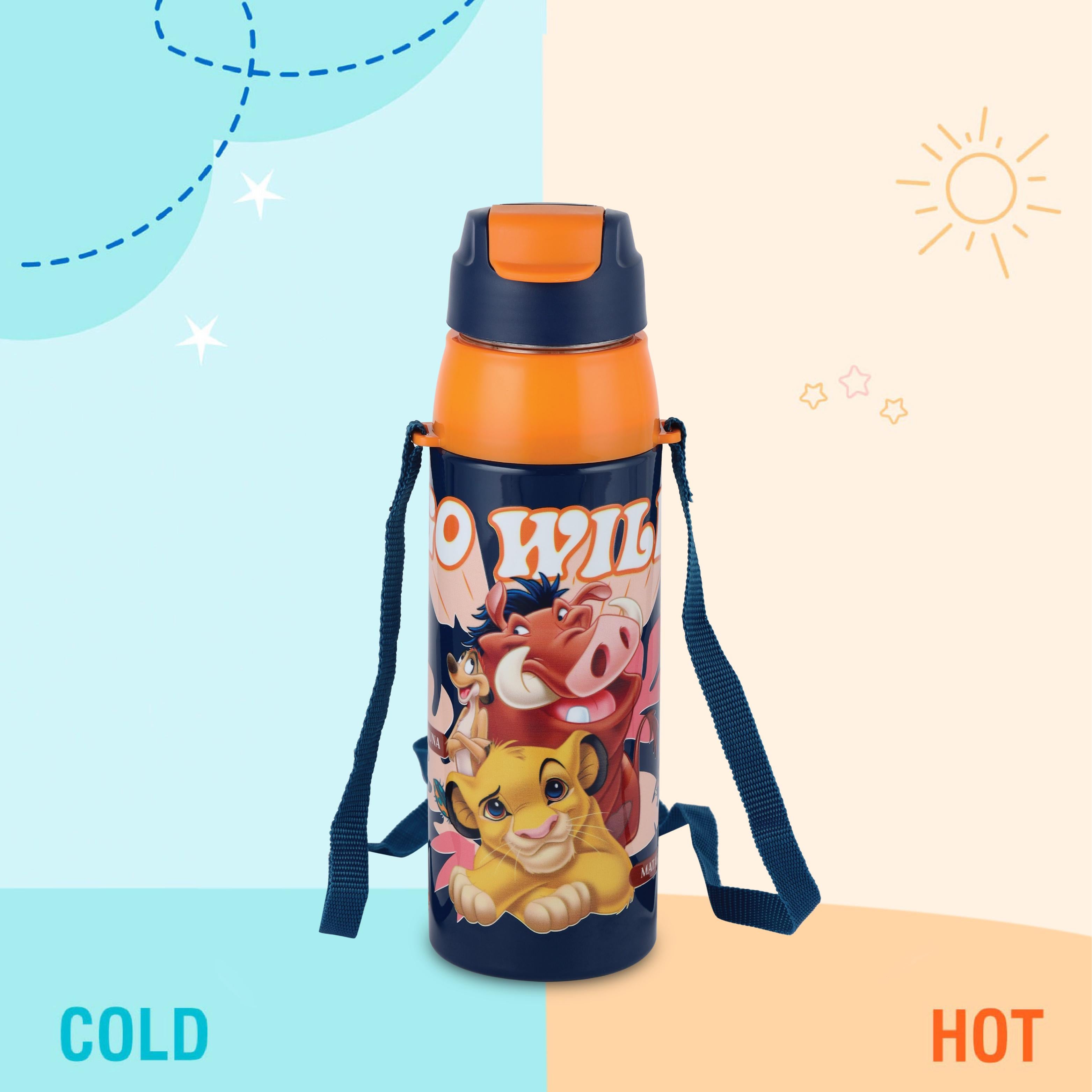 Era 3D Design Insulated Kids Water Bottle, 520ml Lion King