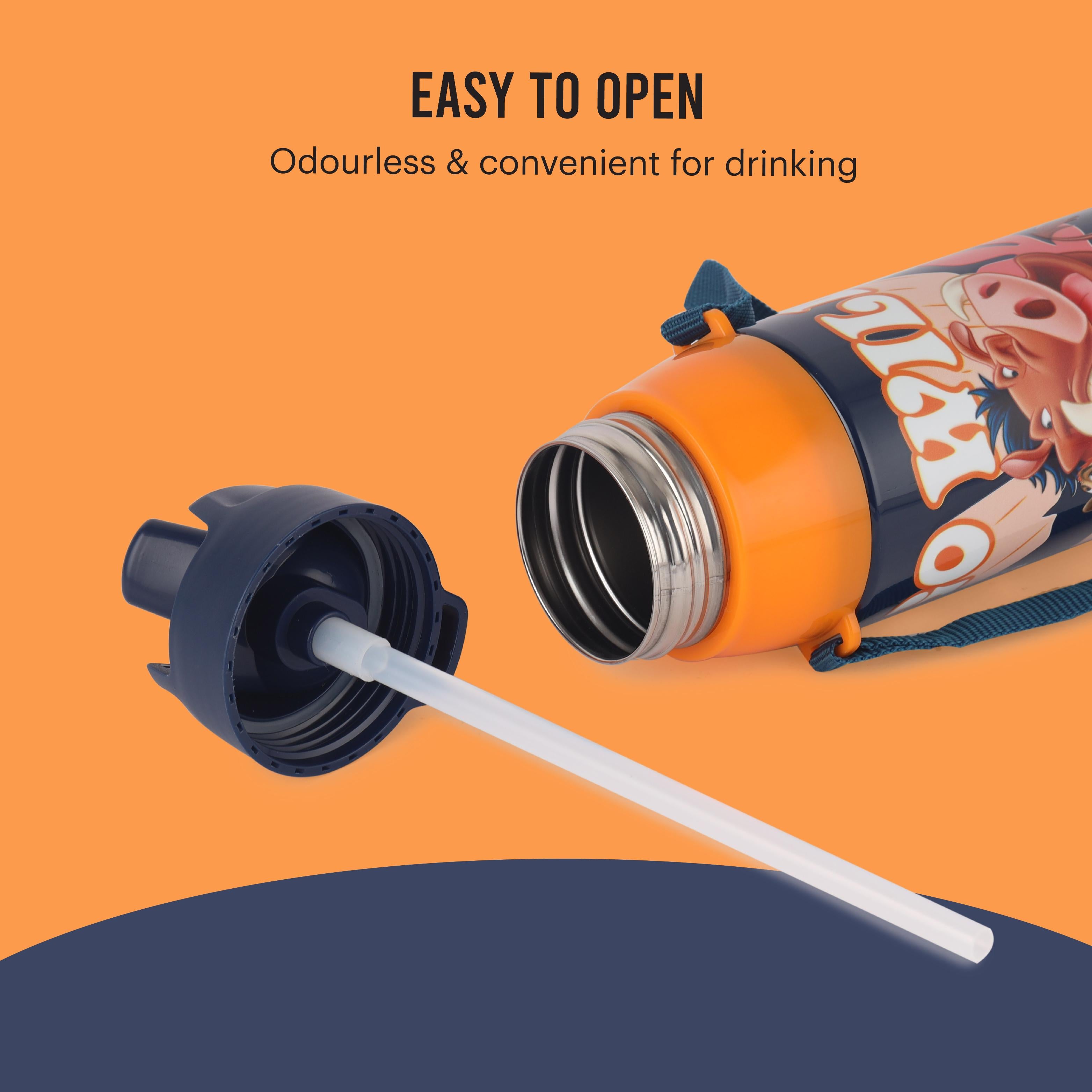 Era 3D Design Insulated Kids Water Bottle, 520ml Lion King