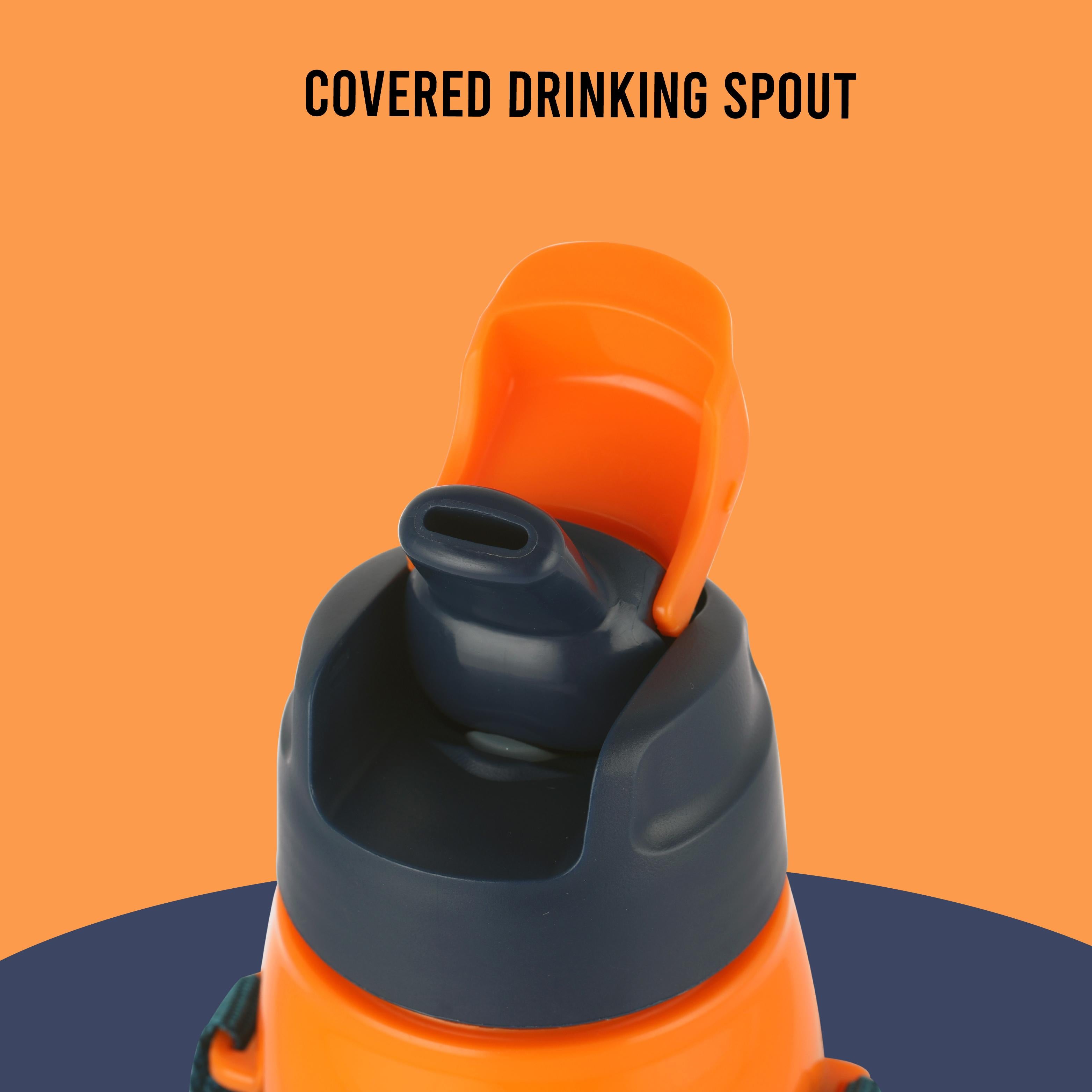 Era 3D Design Insulated Kids Water Bottle, 520ml Lion King