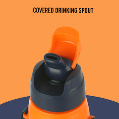 Era 3D Design Insulated Kids Water Bottle, 520ml Lion King