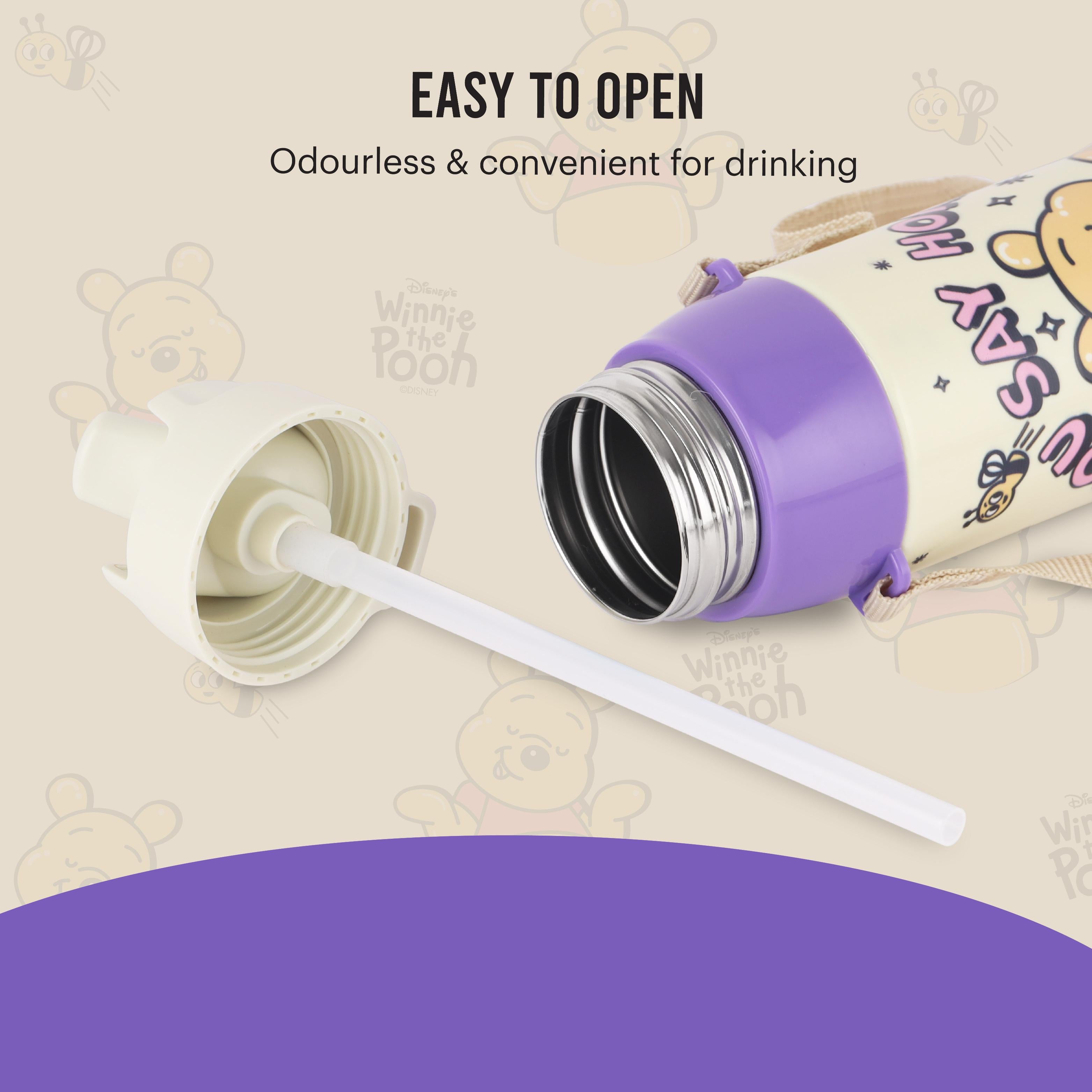 Era 3D Design Insulated Kids Water Bottle, 520ml Hunny Bear