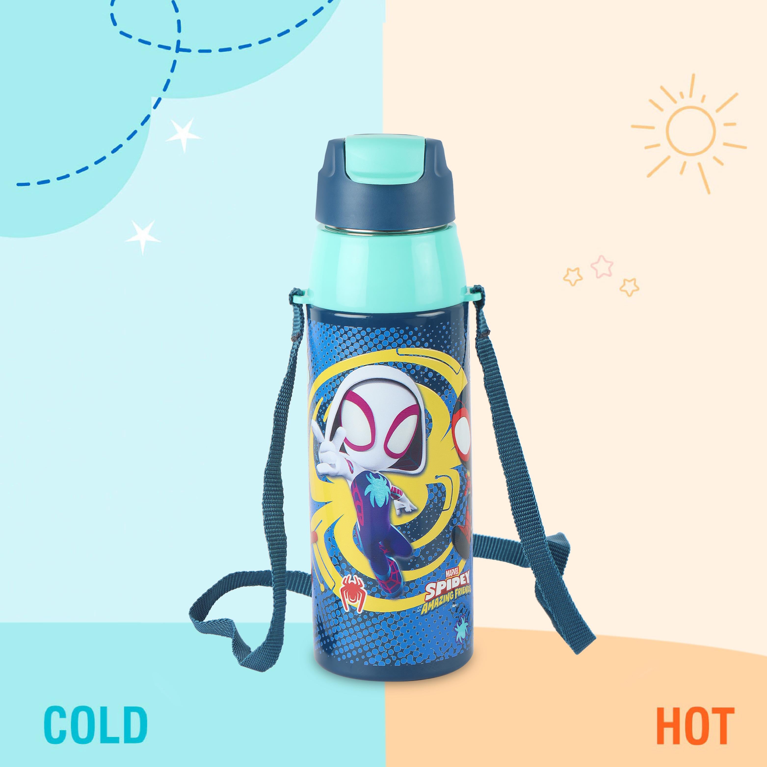 Era 3D Design Insulated Kids Water Bottle, 520ml Web Warriors