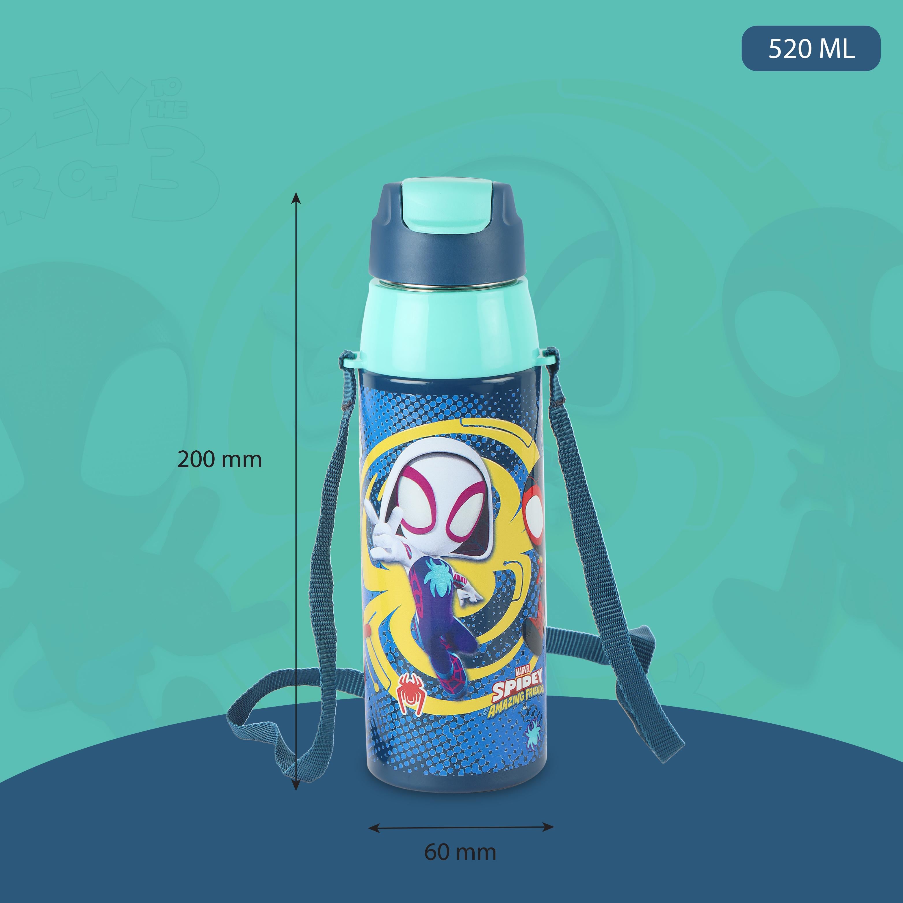 Era 3D Design Insulated Kids Water Bottle, 520ml Web Warriors
