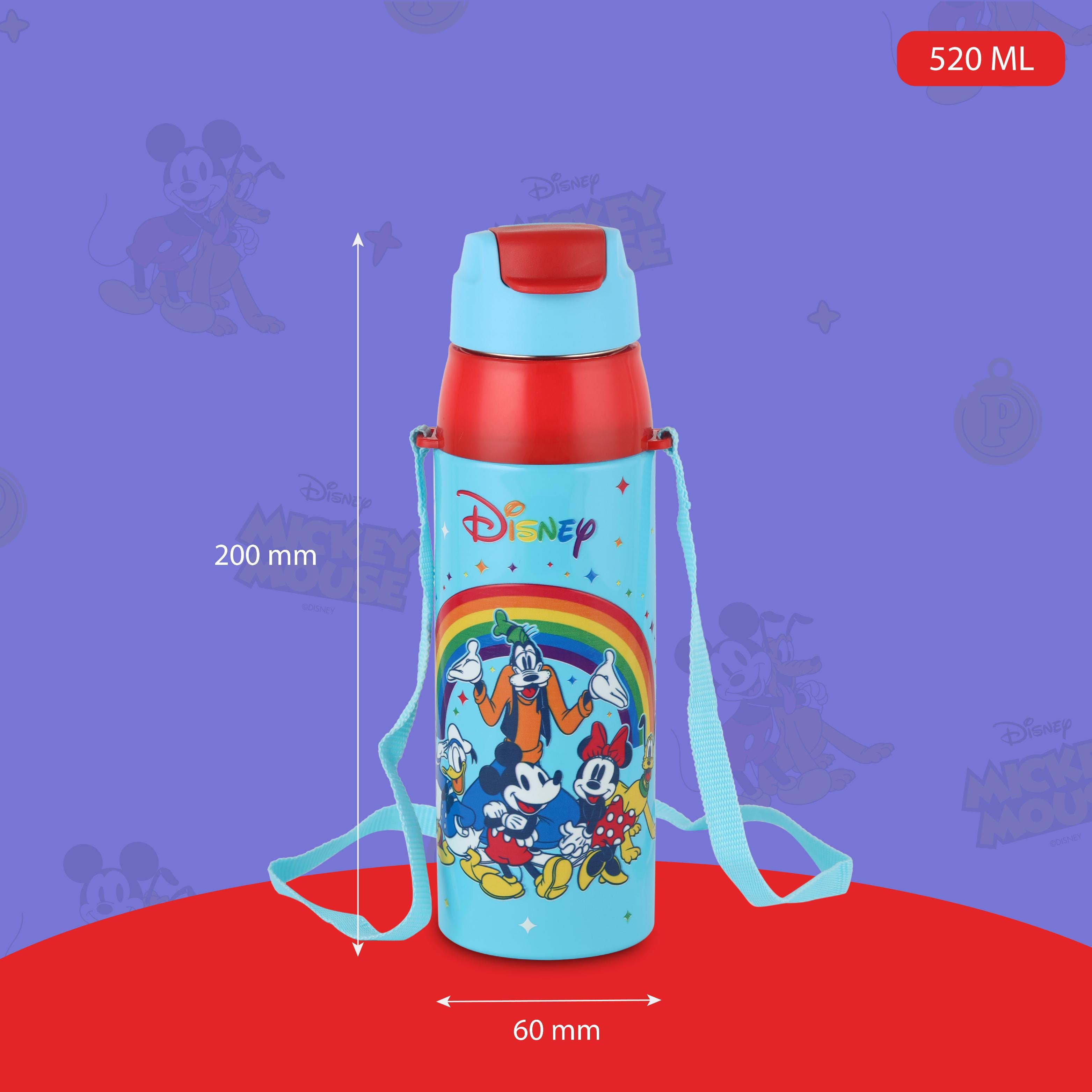 Era 3D Design Insulated Kids Water Bottle, 520ml Mickey Family