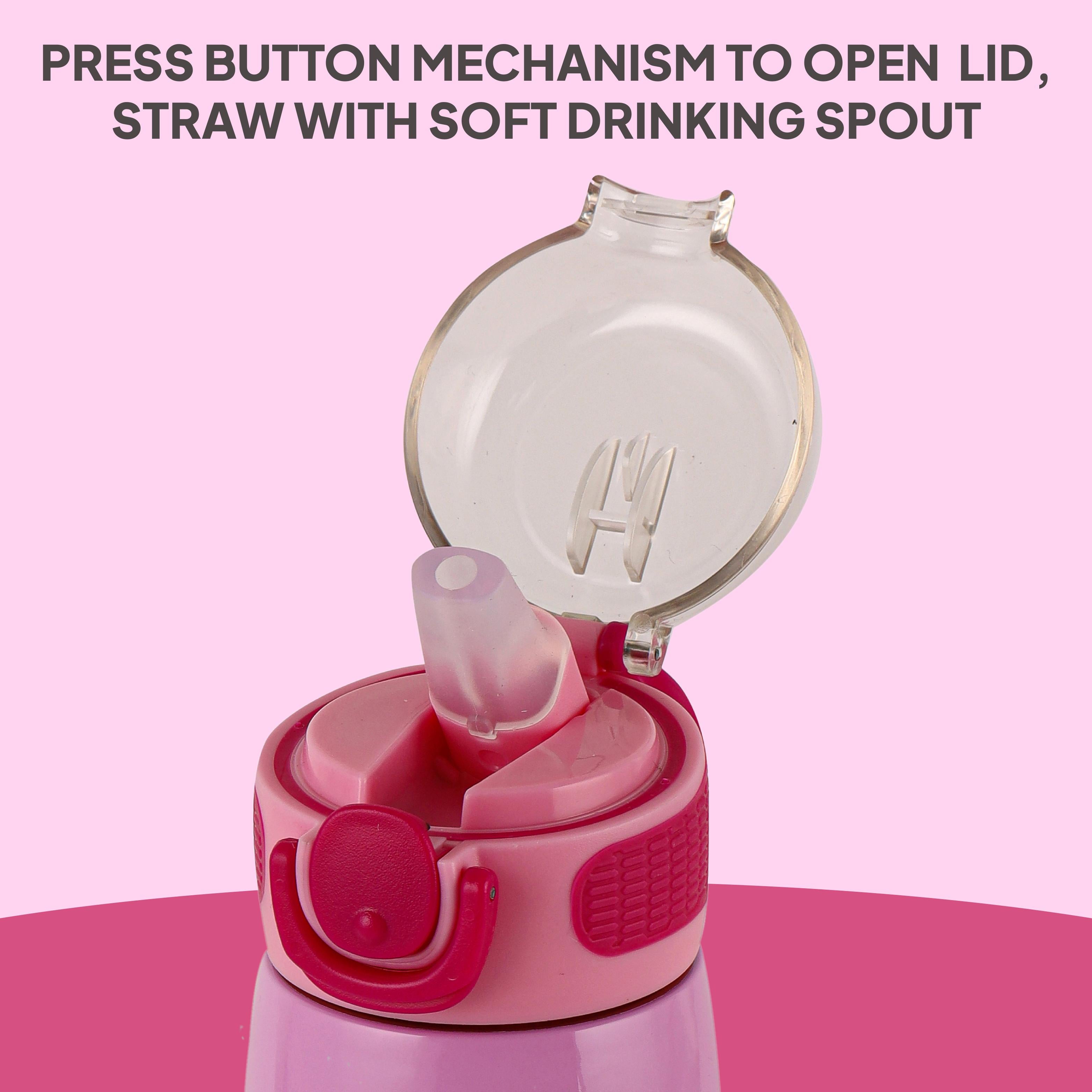 Flare Kids Flask, 450 ml Mickey Minnie