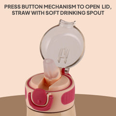 Flare Kids Flask, 450 ml Winnie Family