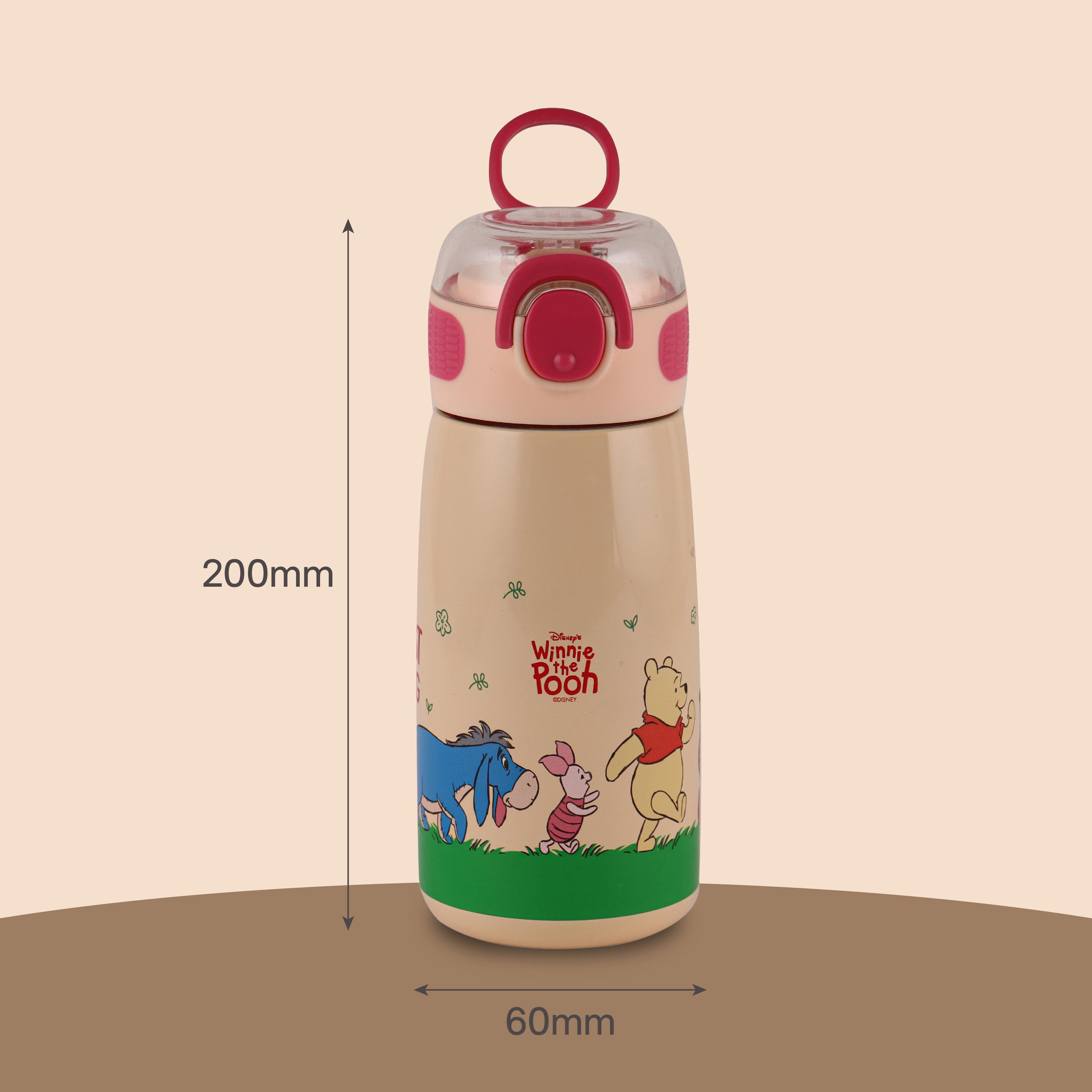 Flare Kids Flask, 450 ml Winnie Family