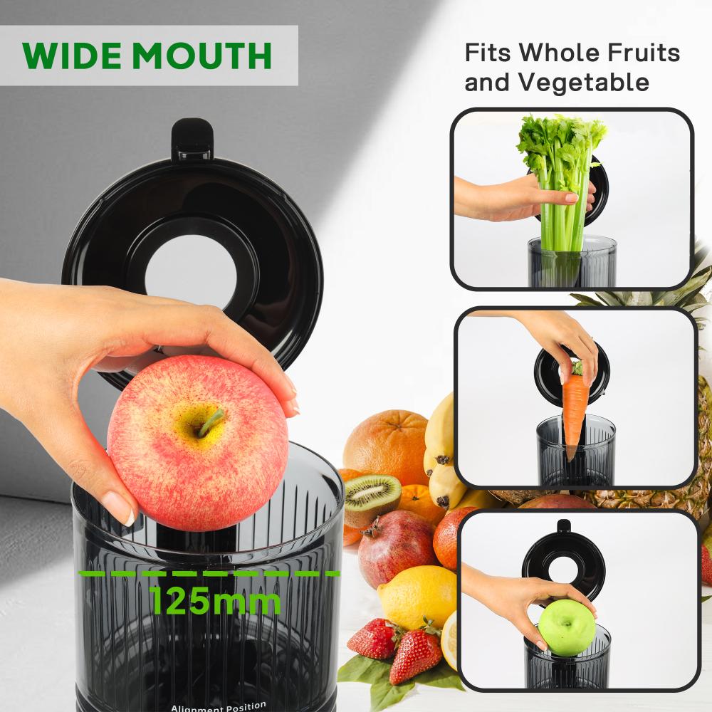 Slow Juice 300 Watts Cold Press Professional Juicer